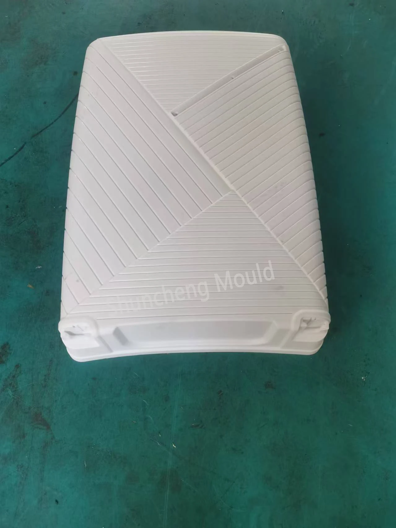 Plastic Trolley Case Mould 6