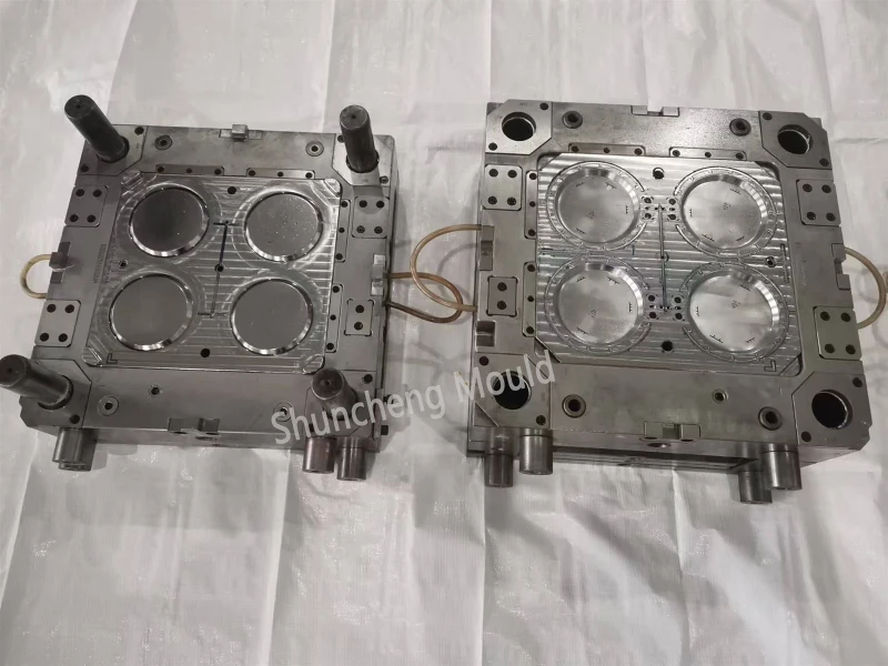 Plastic Fan Mould 3 Plastic Fan Mould 3