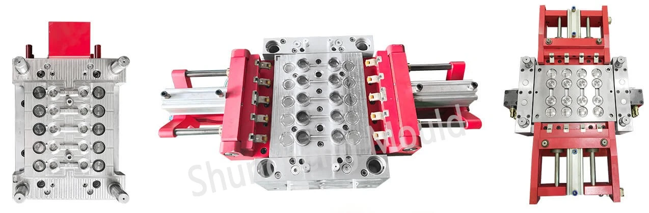 Plastic Flip Top Cap Mould 3