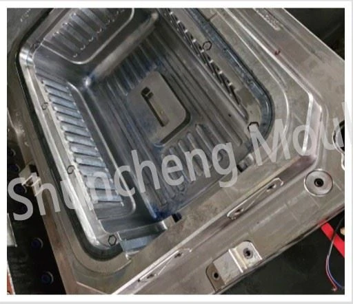 Pets Carrier Plastic Injection Mould And Injection Molding Pets Carrier Plastic Injection Mould And Injection Molding