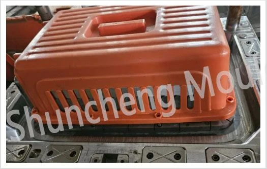 Pets Carrier Plastic Injection Mould And Injection Molding Pets Carrier Plastic Injection Mould And Injection Molding