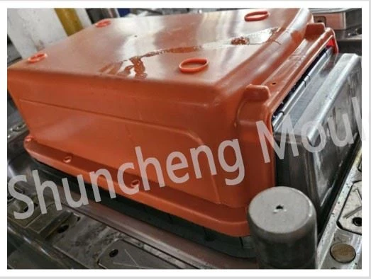 Pets Carrier Plastic Injection Mould And Injection Molding Pets Carrier Plastic Injection Mould And Injection Molding