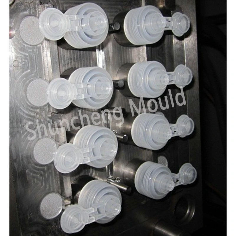 Plastic Flip Top Cap Mould Plastic Flip Top Cap Mould