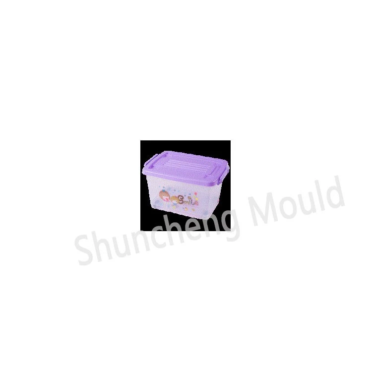 Plastic Storage Box 2