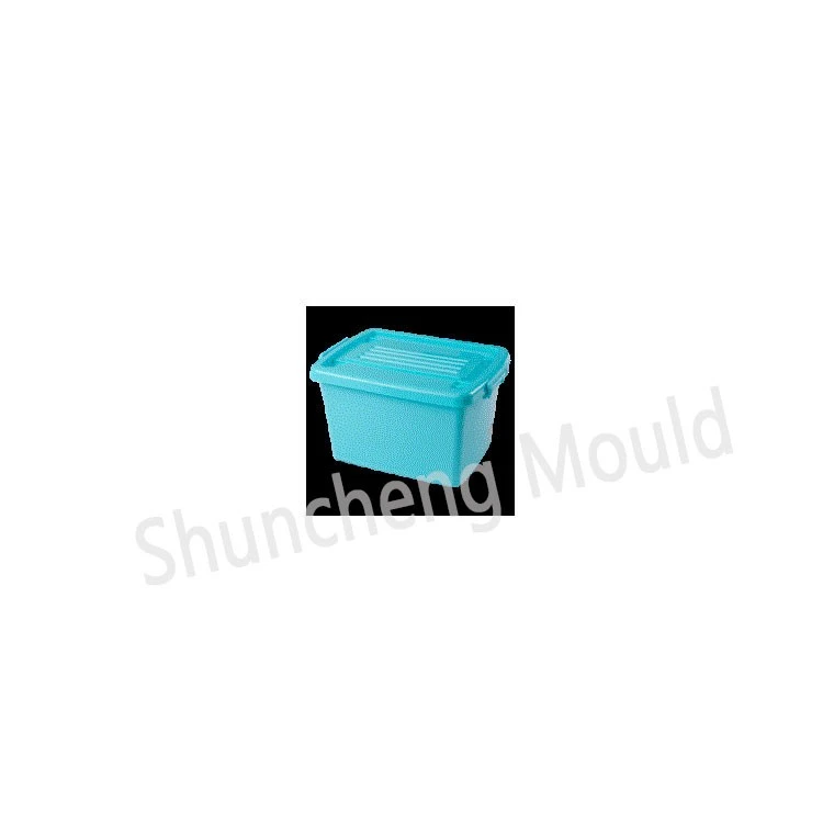 Plastic Storage Box 2