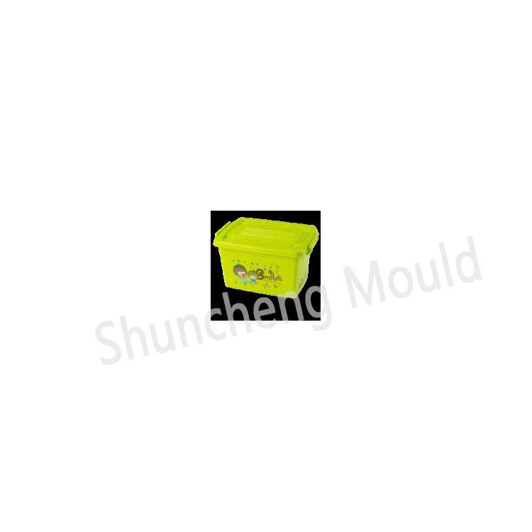 Plastic Storage Box 2