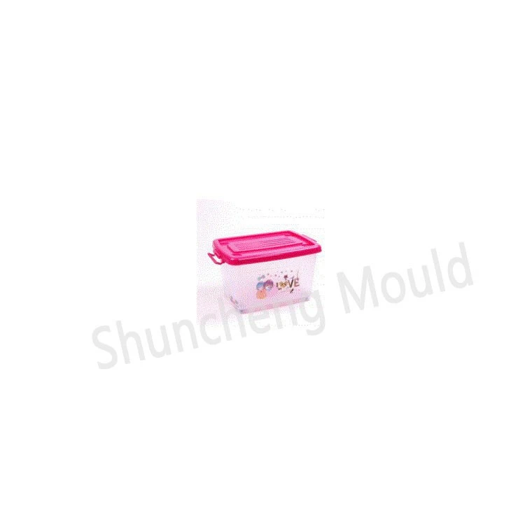 Plastic Storage Box 2