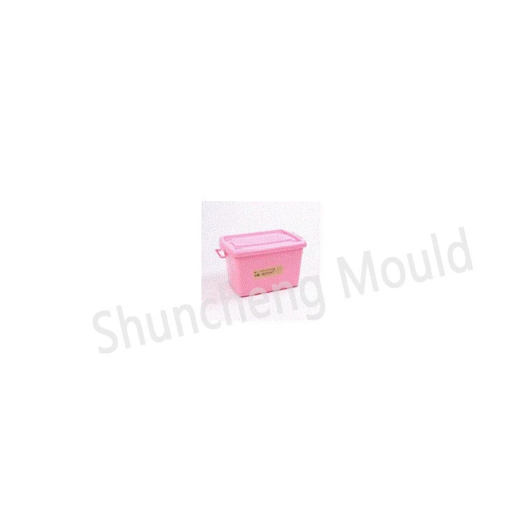 Plastic Storage Box 2