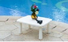 Plastic Table Plastic Table
