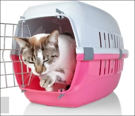 Plastic Pet Products Injection Mould and injection OEM 8